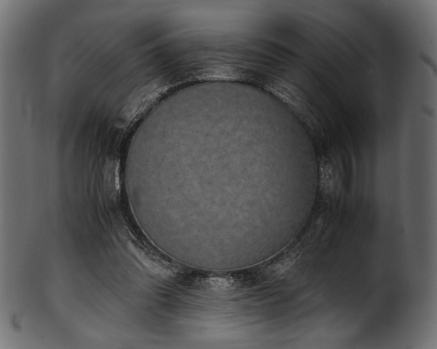 X0000101990302200807181154