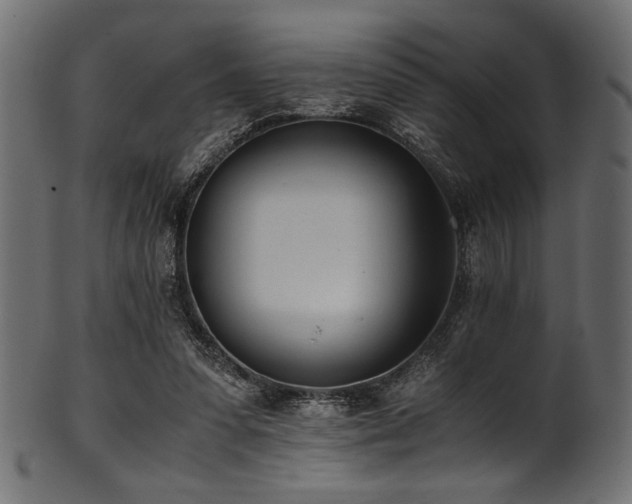 X0000101990303200807181154