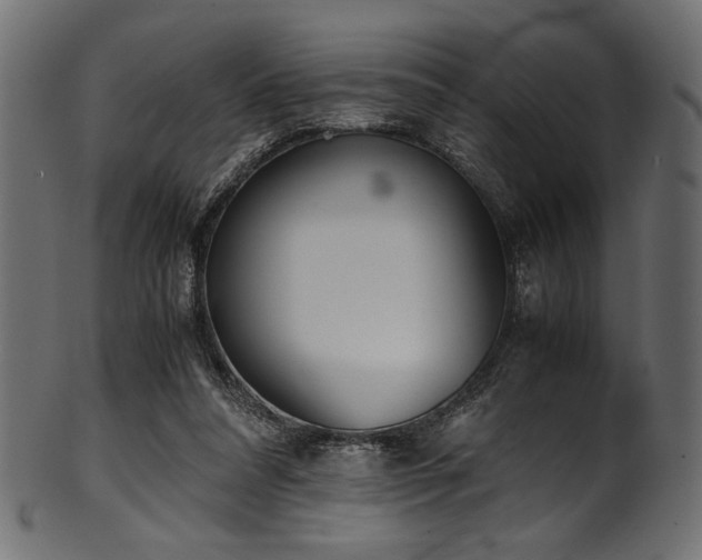 X0000101990304200807181154