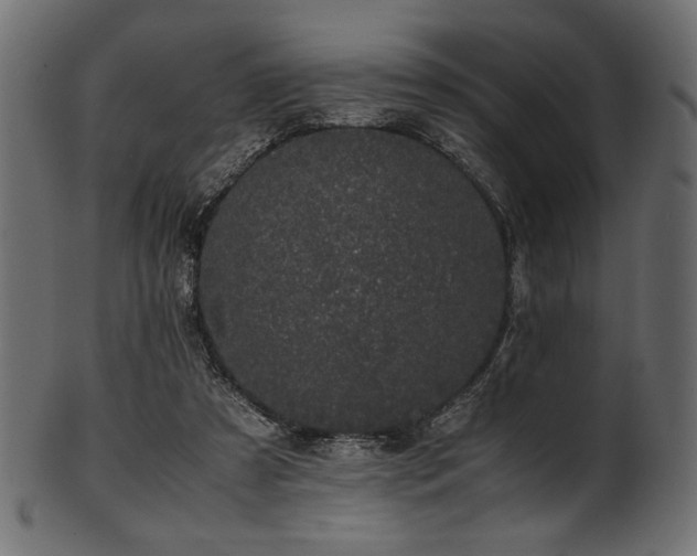 X0000101990305200807181154