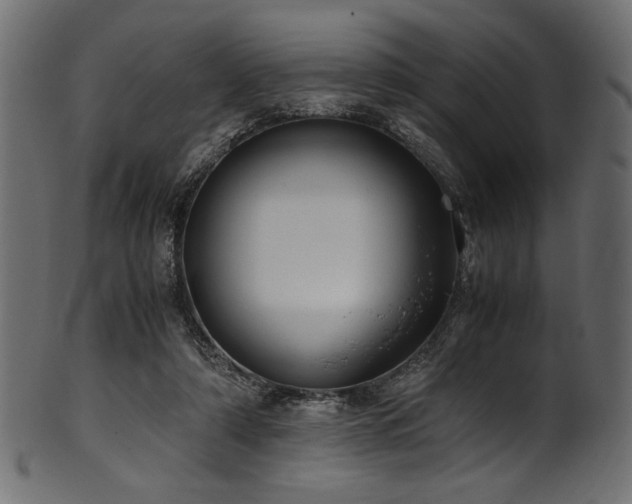 X0000101990306200807181154