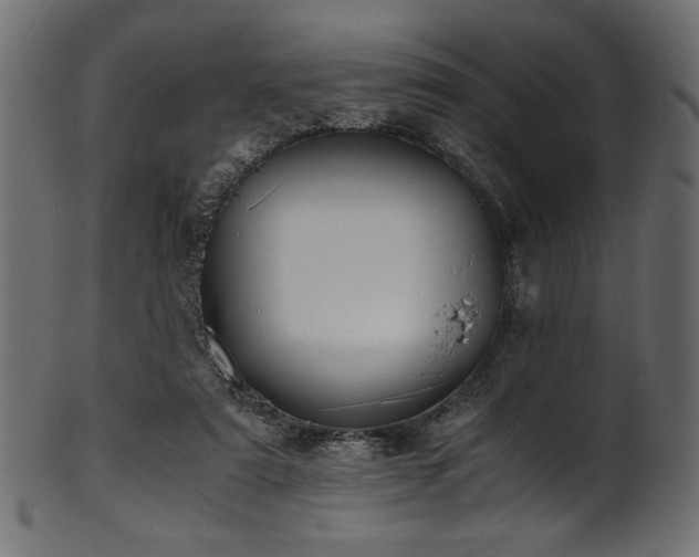 X0000101990307200807181154