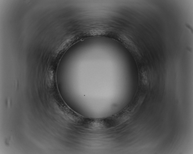 X0000101990308200807181154