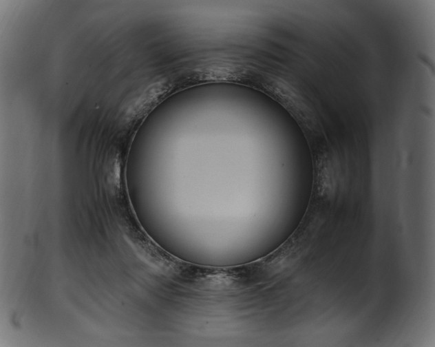 X0000101990310200807181154