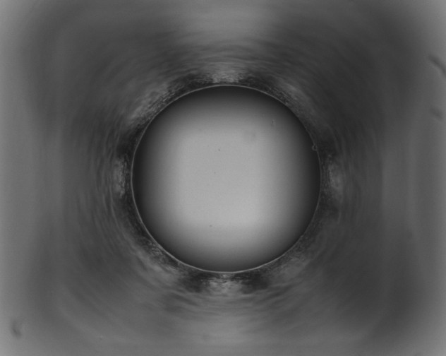 X0000101990311200807181154