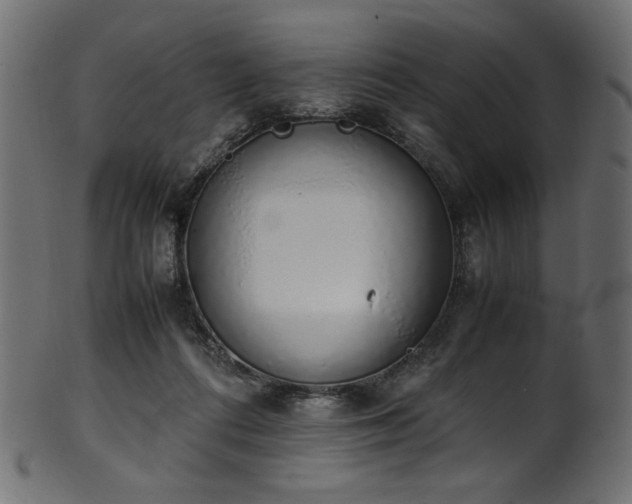 X0000101990312200807181154