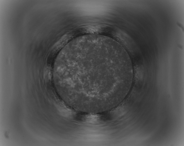 X0000101990313200807181154