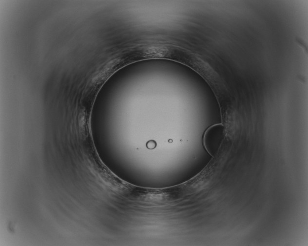 X0000101990314200807181154