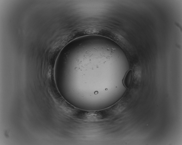 X0000101990315200807181153
