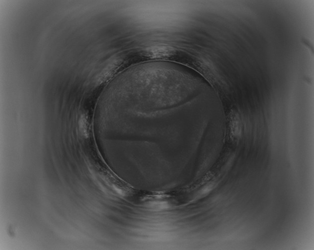 X0000101990316200807181153