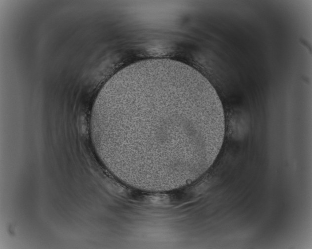X0000101990317200807181153