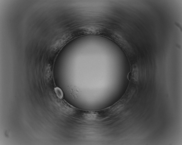 X0000101990318200807181153