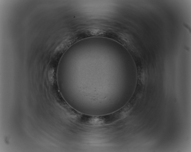X0000101990319200807181153