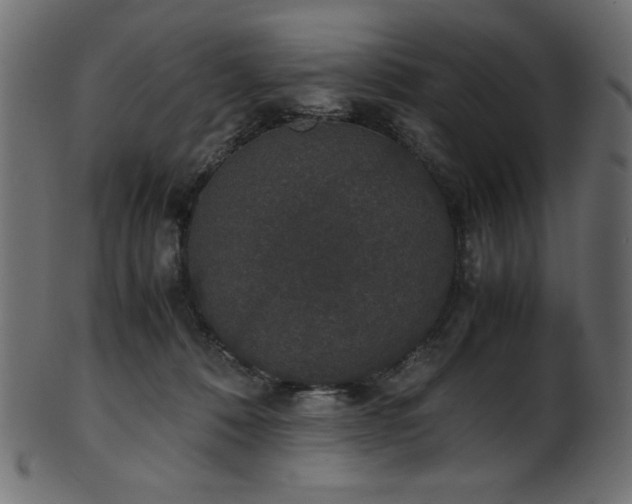 X0000101990320200807181153