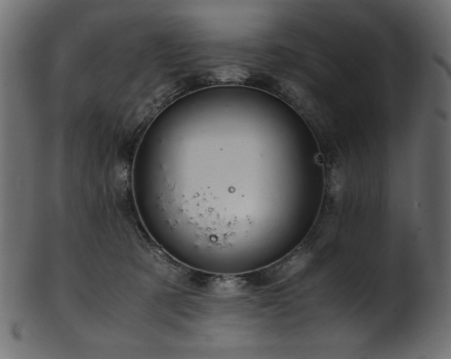 X0000101990321200807181153