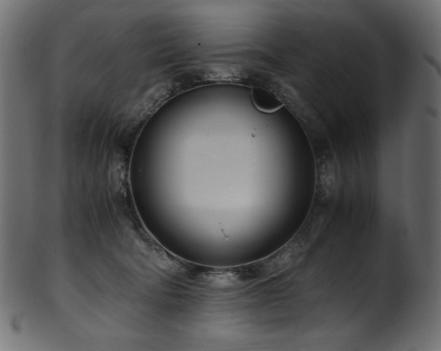 X0000101990322200807181153