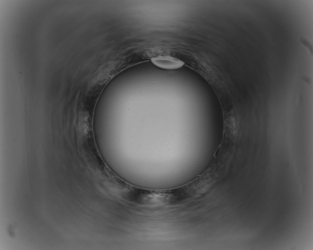 X0000101990323200807181153