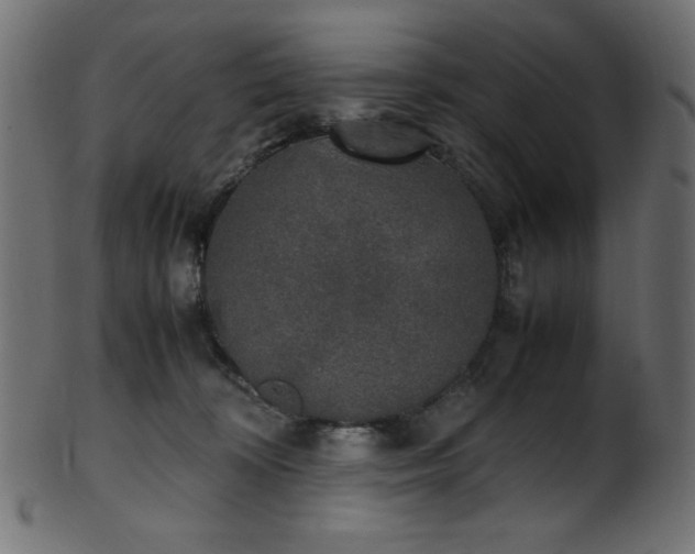X0000101990324200807181153