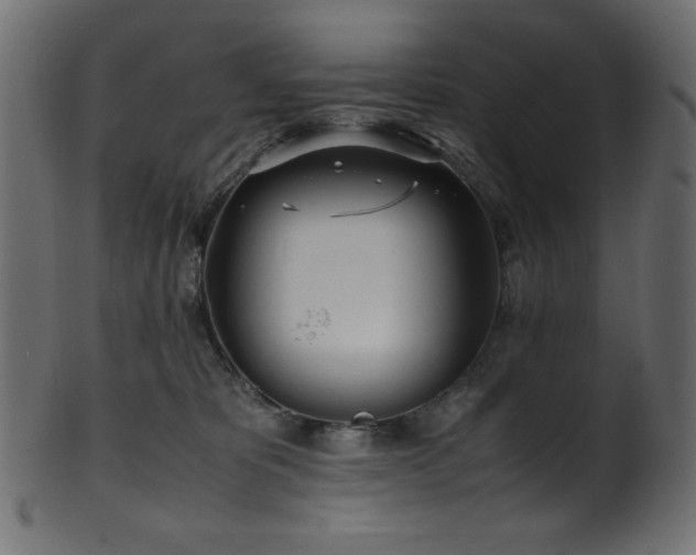 X0000101990325200807181153