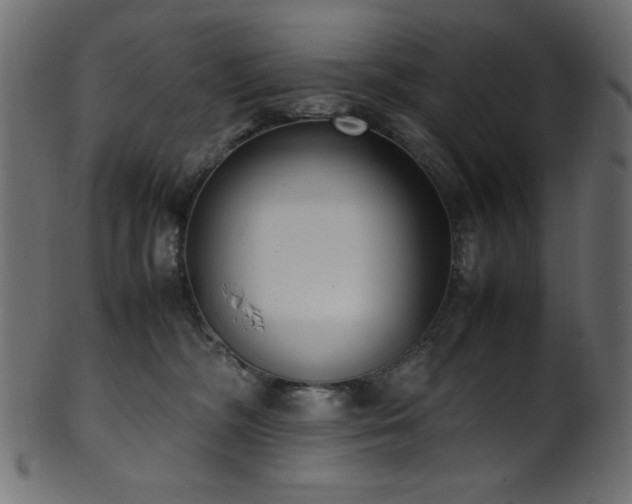 X0000101990326200807181153