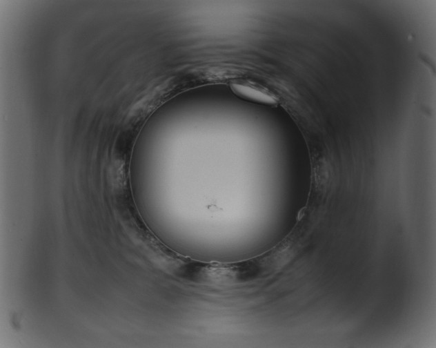 X0000101990327200807181153