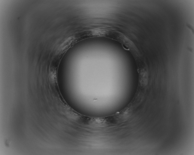 X0000101990329200807181153