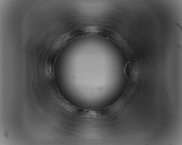 X0000101990330200807181153