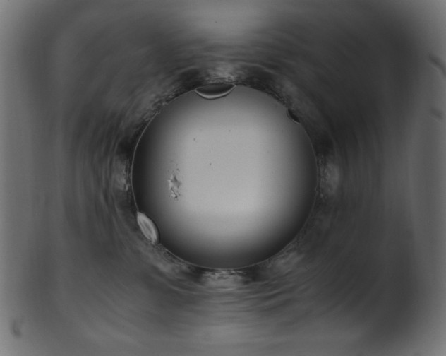 X0000101990331200807181153