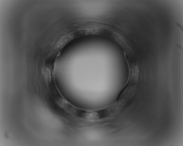 X0000101990333200807181153