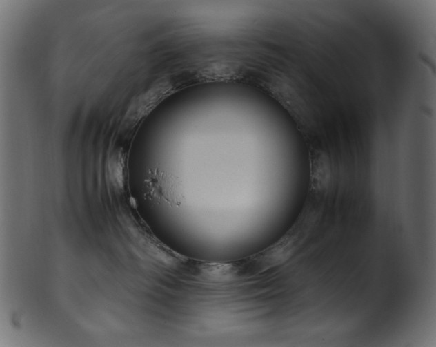 X0000101990334200807181153