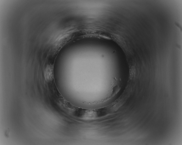 X0000101990335200807181153