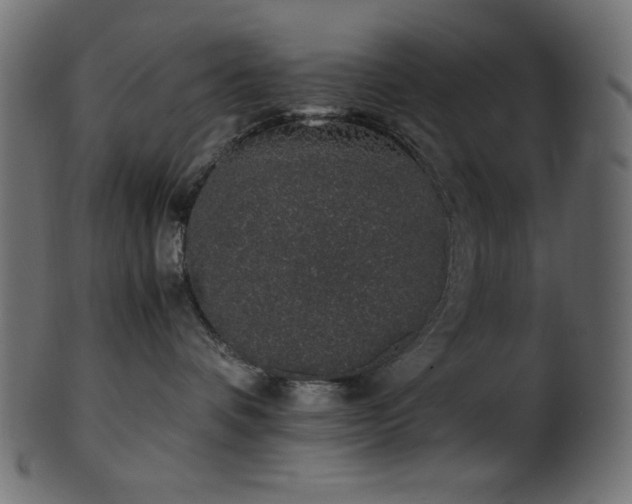 X0000101990336200807181153