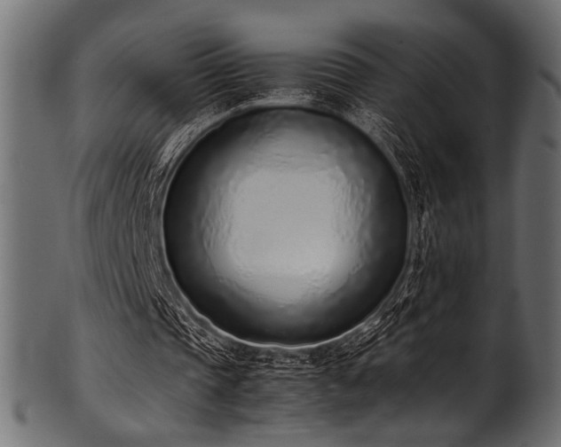 X0000101990337200807181153