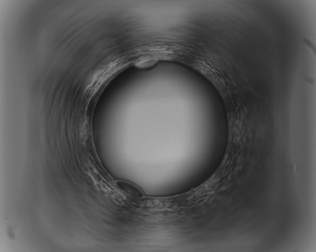 X0000101990338200807181153