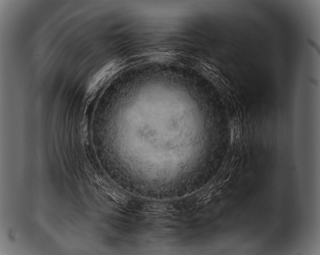 X0000101990339200807181153