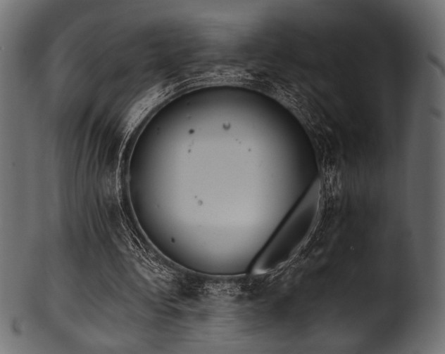 X0000101990340200807181153