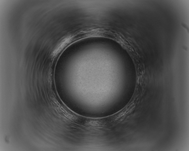 X0000101990341200807181153