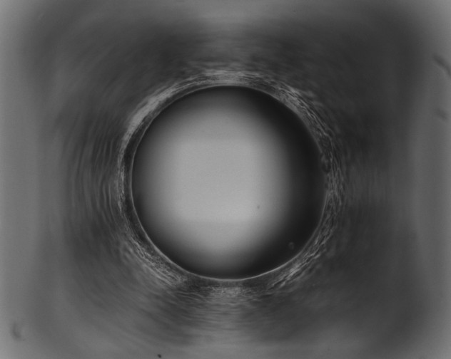 X0000101990342200807181153