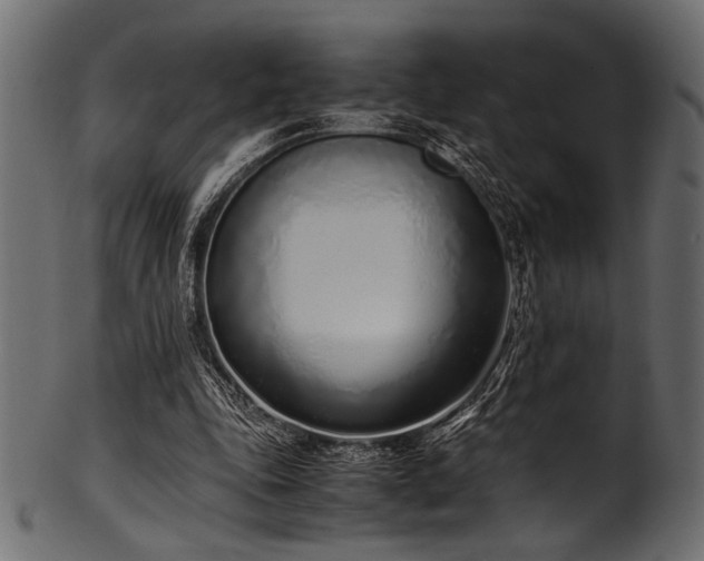 X0000101990343200807181153