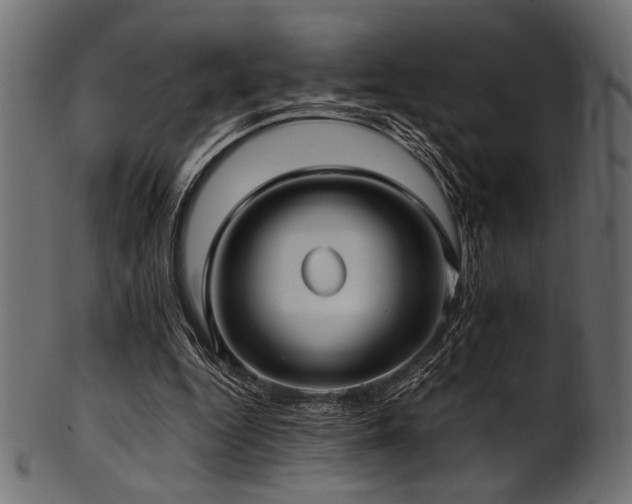X0000101990344200807181153