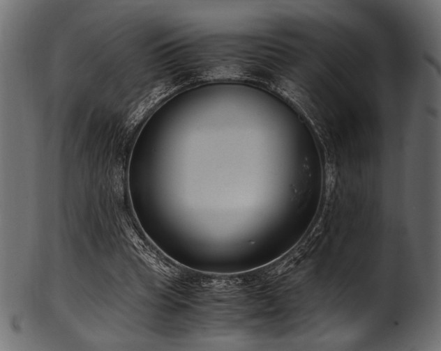 X0000101990345200807181153