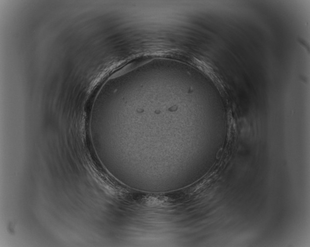 X0000101990346200807181153