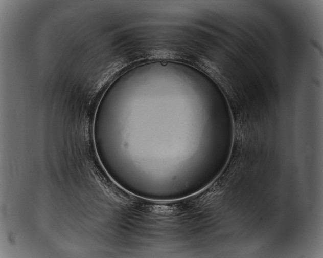 X0000101990347200807181153
