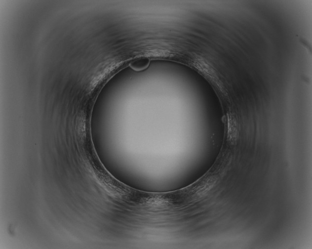 X0000101990348200807181153