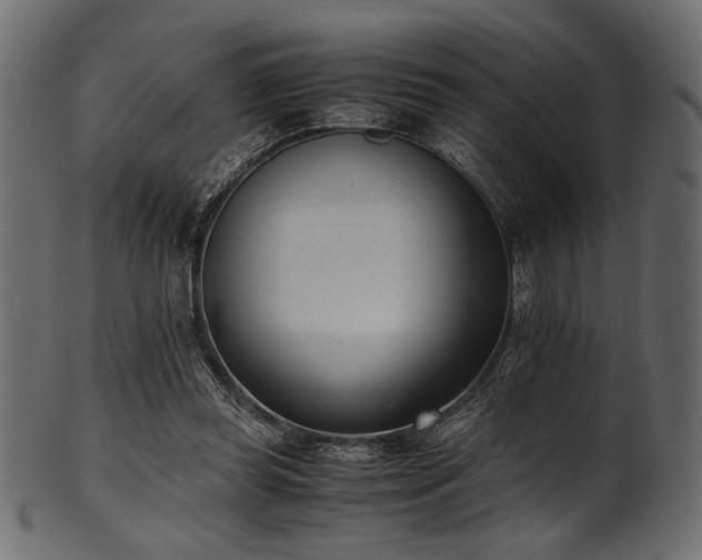 X0000101990349200807181153