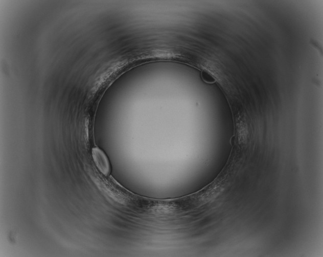 X0000101990350200807181153
