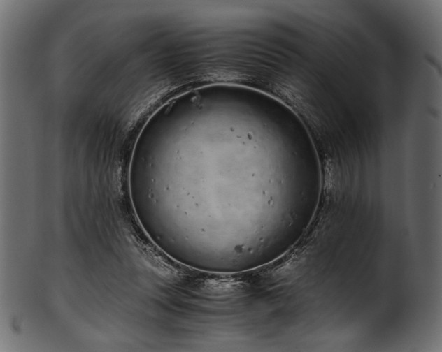 X0000101990351200807181153