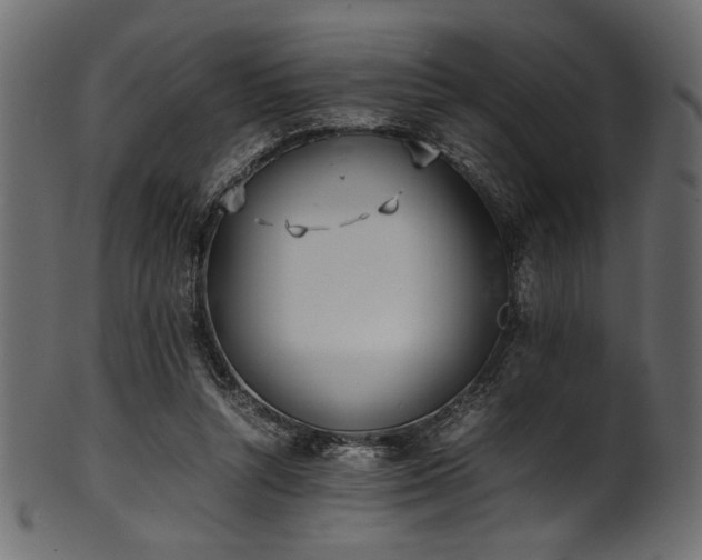 X0000101990352200807181153