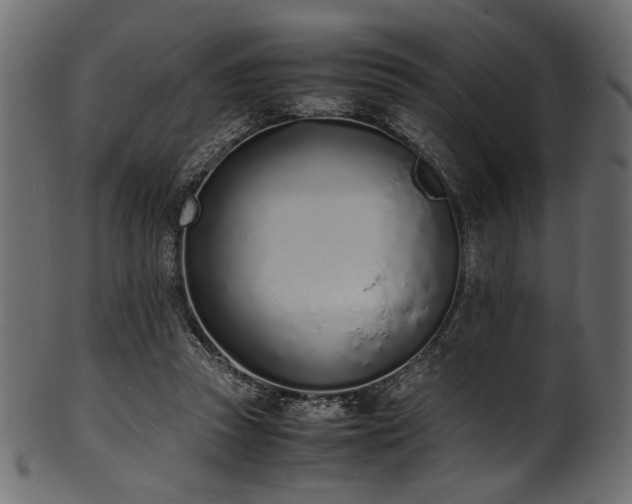 X0000101990353200807181153