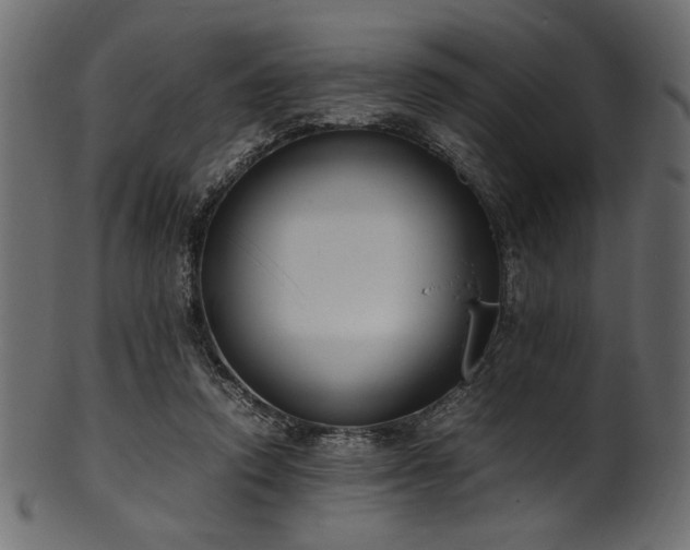 X0000101990354200807181153